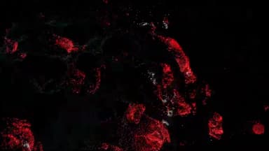 2011 Film & VFX Work